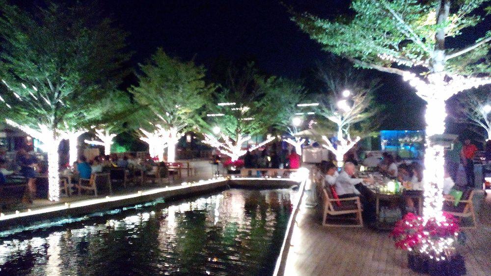 watersite special night
