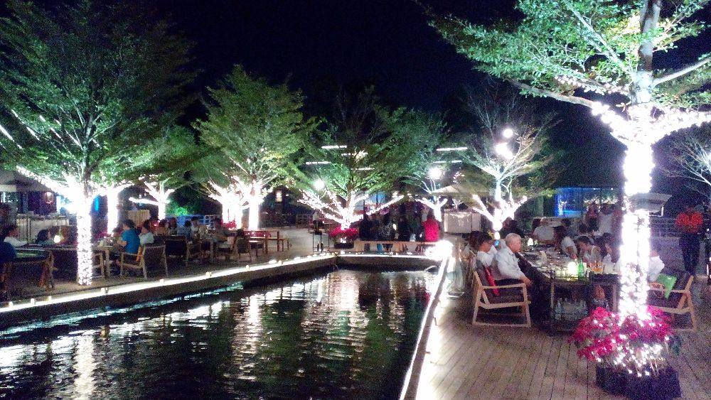 watersite special night