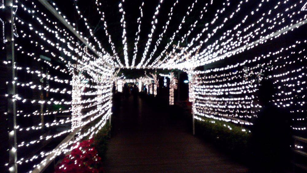 watersite special night