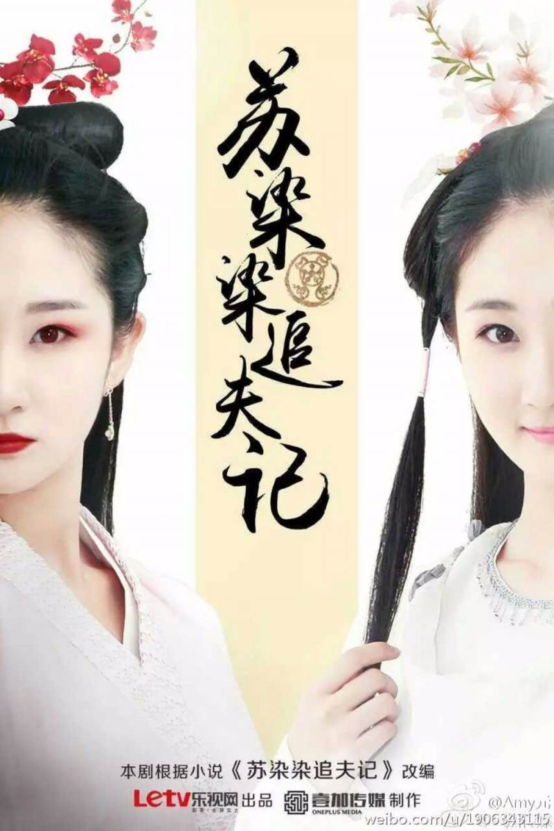 Su Ran Ran Zhui Fu Ji《苏染染追夫记》2016 part1