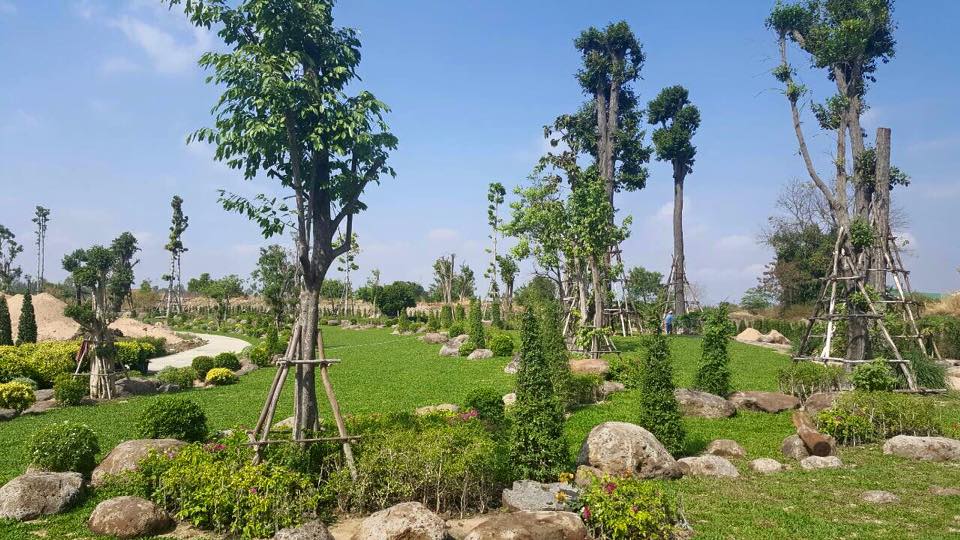 พาชมภาพอัพเดทแลนด์มาร์คใหม่ของเมืองบุรีรัมย์