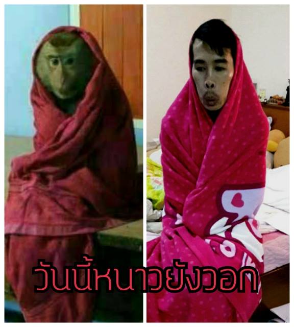 วันนี้หนาวยังวอก
