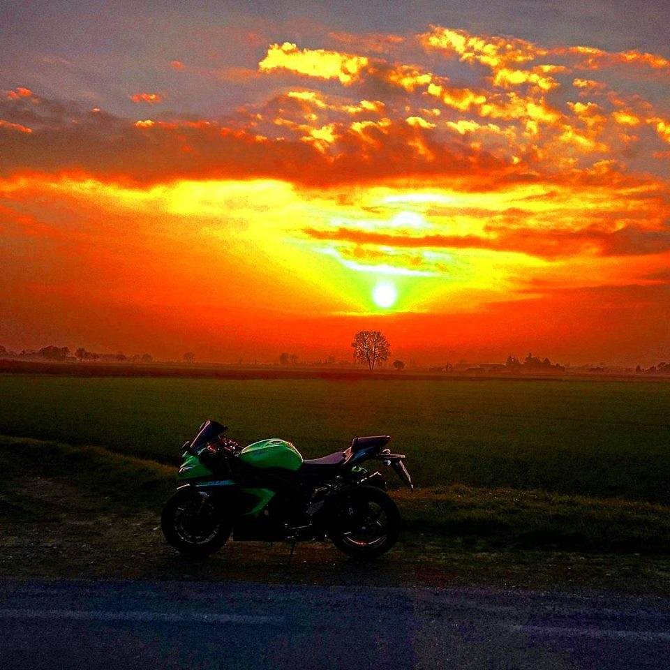 ninja zx6r