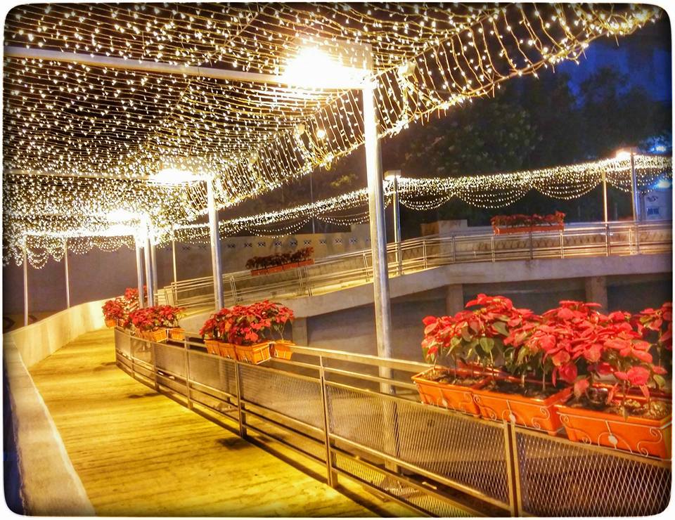 Korat at Night 2016