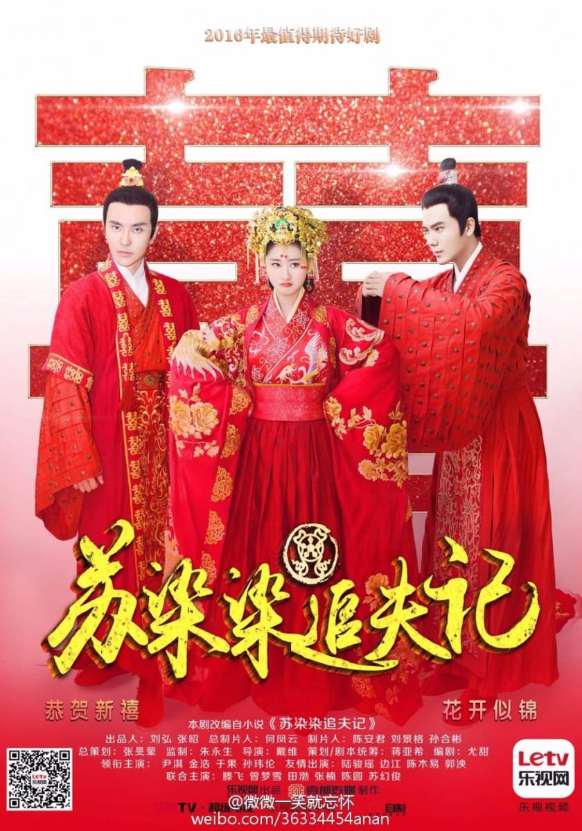 Su Ran Ran Zhui Fu Ji《苏染染追夫记》2016 part12