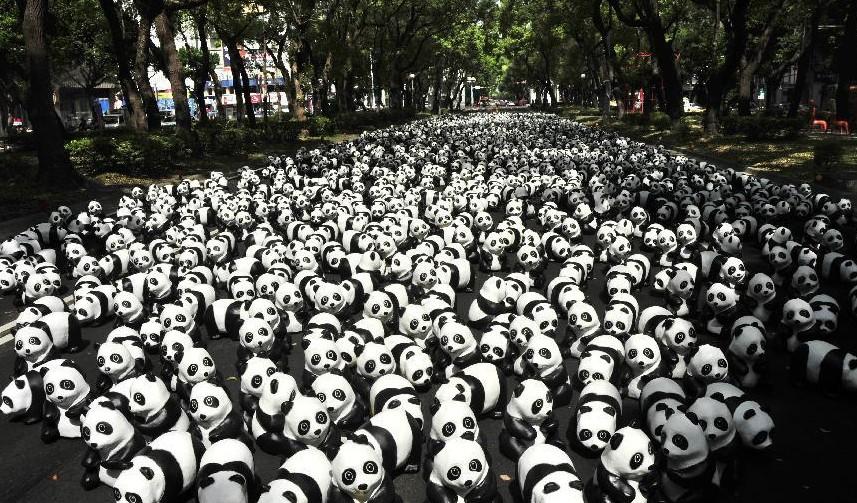 หมี...แพนด้า บุกเมือง Bangkok