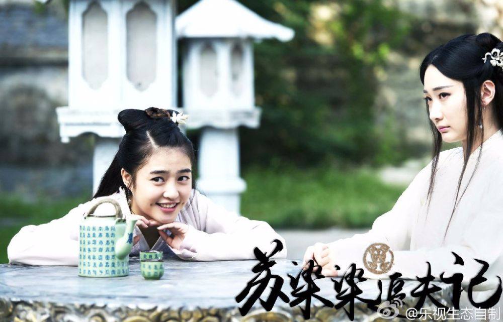Su Ran Ran Zhui Fu Ji《苏染染追夫记》2016 part16