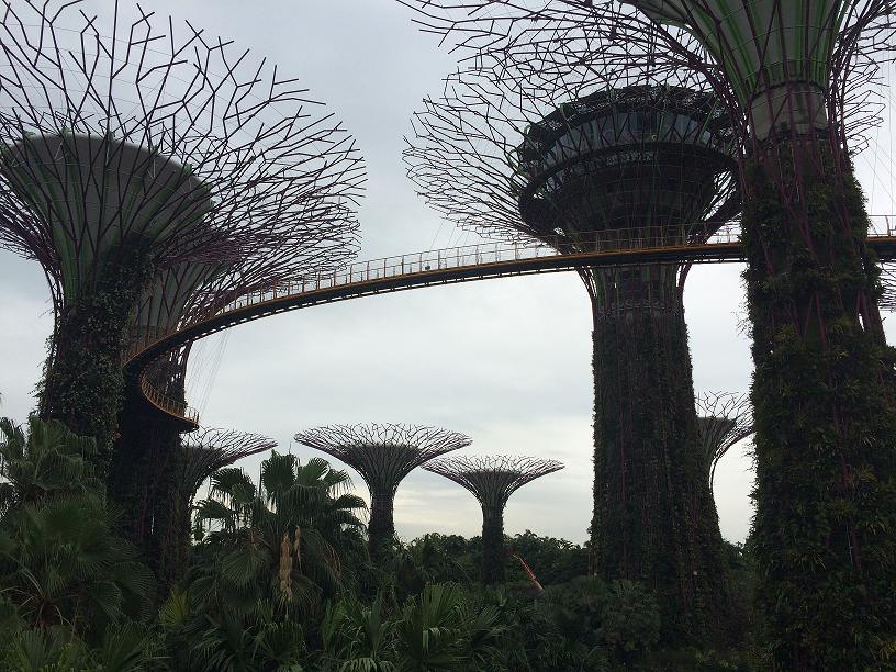 สวนลอยฟ้า กลางคืนยิ่งสวยมากๆ