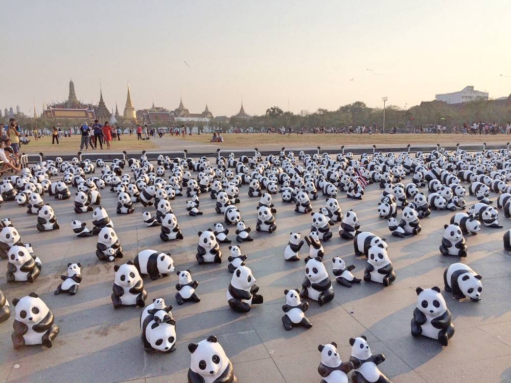 เก็บภาพบรรยากาศ "1,600 Pandas+ World Tour in Thailand" วันนี้วันแรก ที่บริเวณมณฑลพิธีท้องสนามหลวงมาให้ชมกันครับ