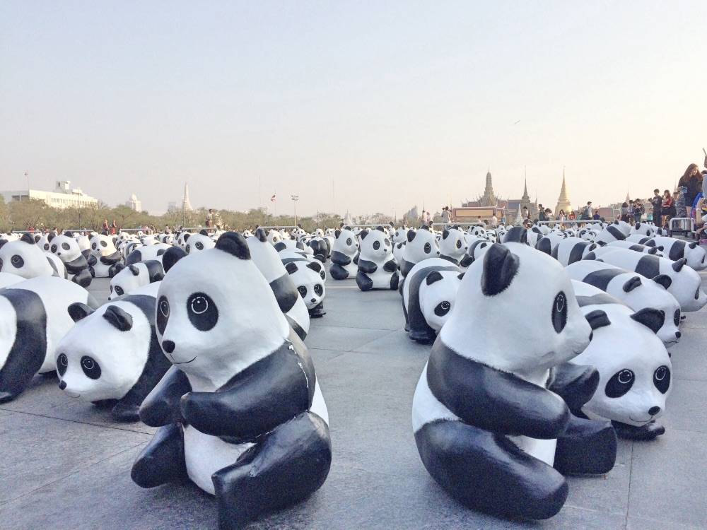 เก็บภาพบรรยากาศ "1,600 Pandas+ World Tour in Thailand" วันนี้วันแรก ที่บริเวณมณฑลพิธีท้องสนามหลวงมาให้ชมกันครับ