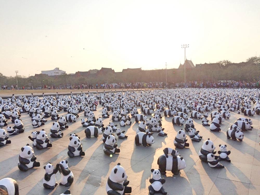 เก็บภาพบรรยากาศ "1,600 Pandas+ World Tour in Thailand" วันนี้วันแรก ที่บริเวณมณฑลพิธีท้องสนามหลวงมาให้ชมกันครับ