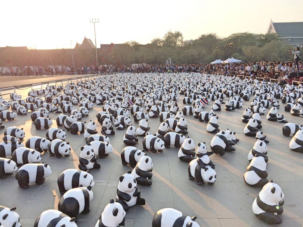 เก็บภาพบรรยากาศ "1,600 Pandas+ World Tour in Thailand" วันนี้วันแรก ที่บริเวณมณฑลพิธีท้องสนามหลวงมาให้ชมกันครับ