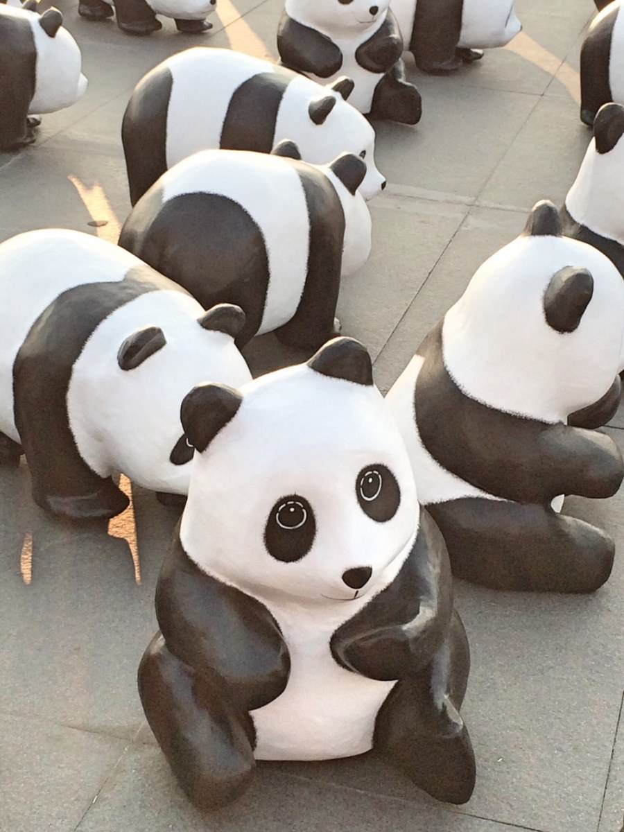 เก็บภาพบรรยากาศ "1,600 Pandas+ World Tour in Thailand" วันนี้วันแรก ที่บริเวณมณฑลพิธีท้องสนามหลวงมาให้ชมกันครับ