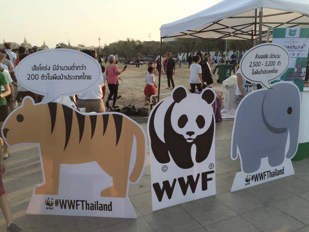 เก็บภาพบรรยากาศ "1,600 Pandas+ World Tour in Thailand" วันนี้วันแรก ที่บริเวณมณฑลพิธีท้องสนามหลวงมาให้ชมกันครับ