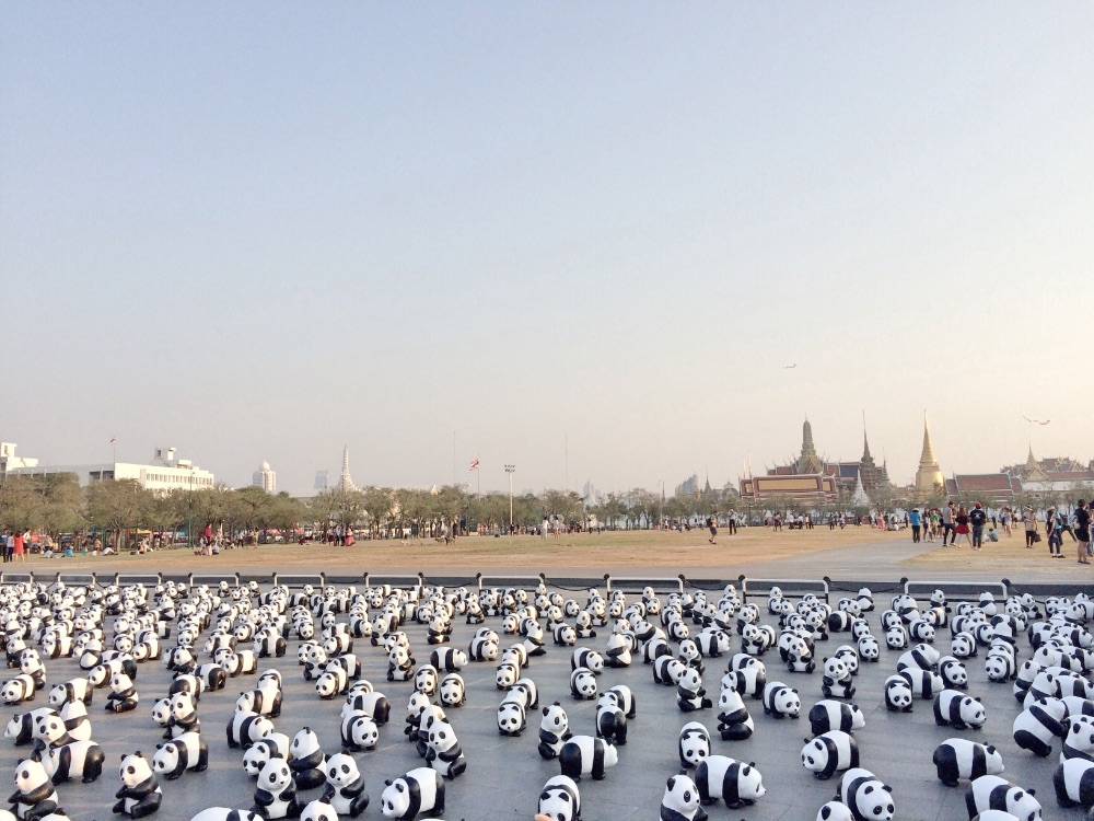 เก็บภาพบรรยากาศ "1,600 Pandas+ World Tour in Thailand" วันนี้วันแรก ที่บริเวณมณฑลพิธีท้องสนามหลวงมาให้ชมกันครับ