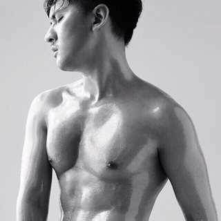 AMAT THE ANATOMY