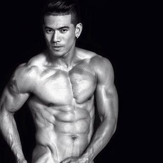 AMAT THE ANATOMY