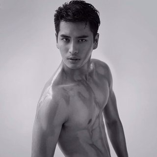 AMAT THE ANATOMY