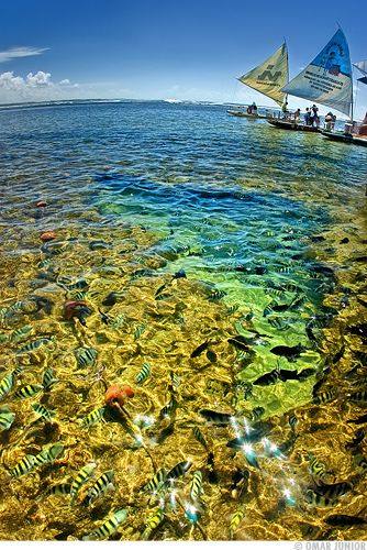 บราซิลสวรรค์อเมริกาใต้