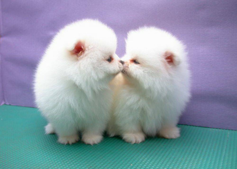 love story