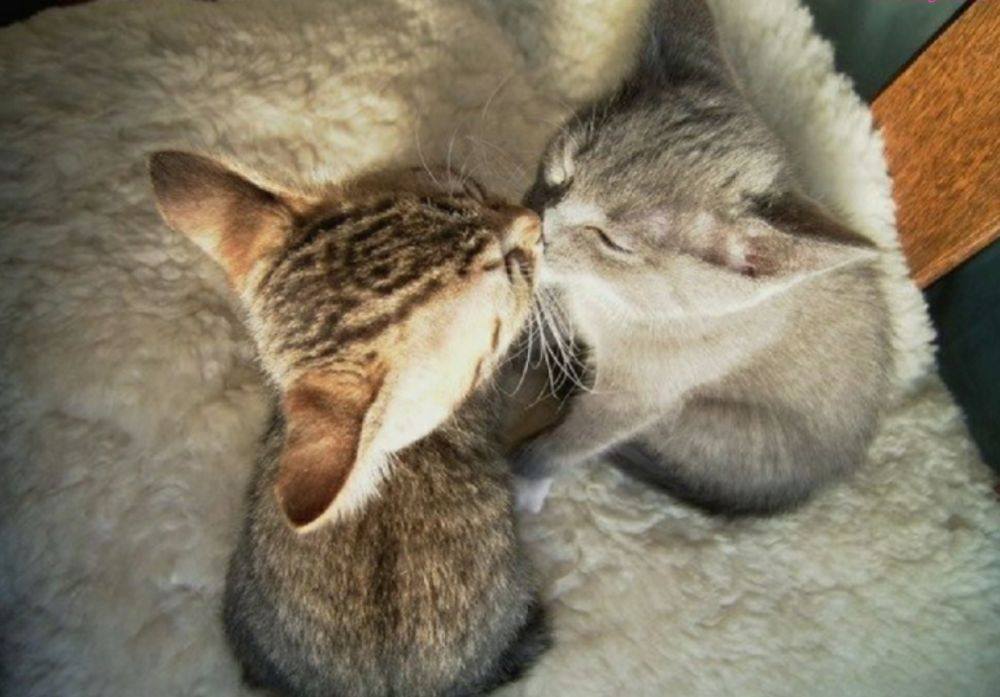 love story