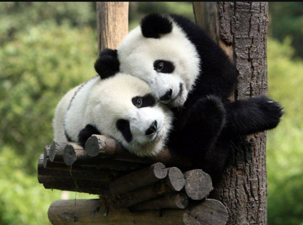 love story