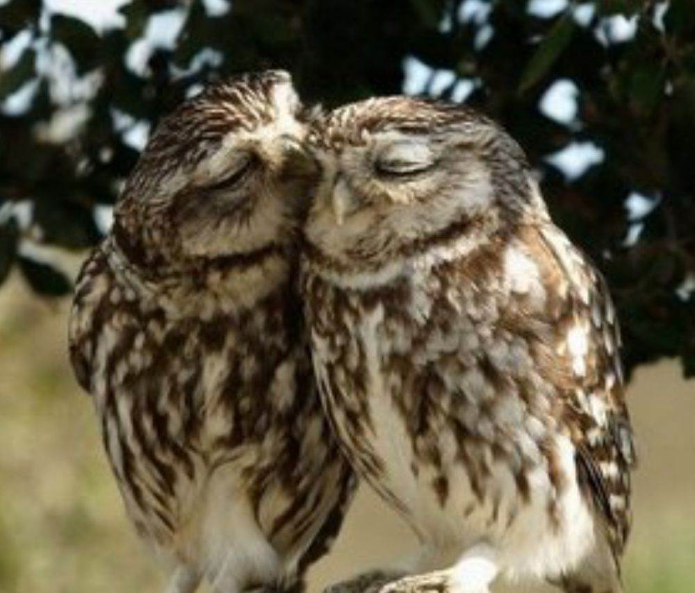 love story