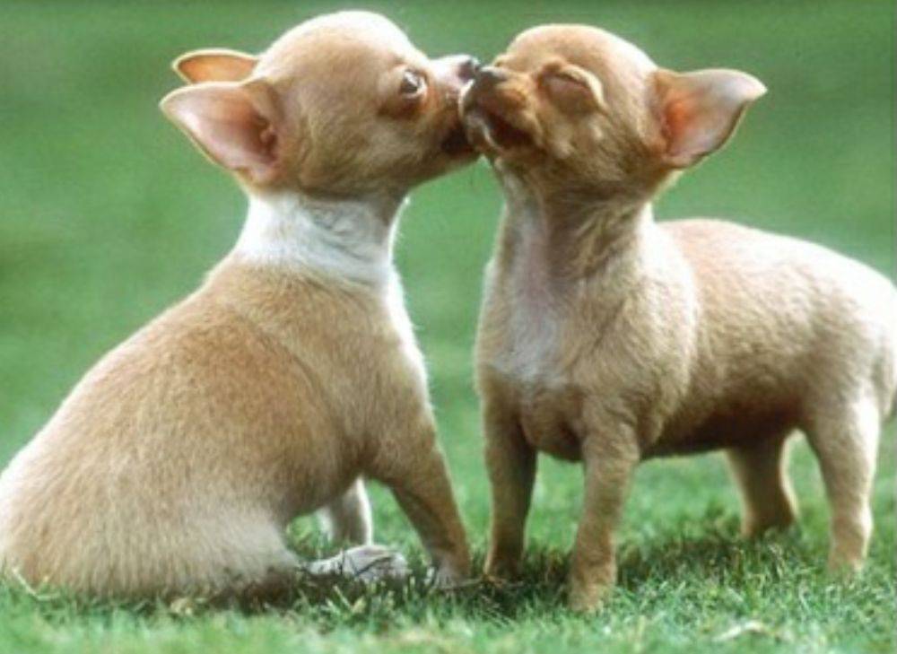 love story