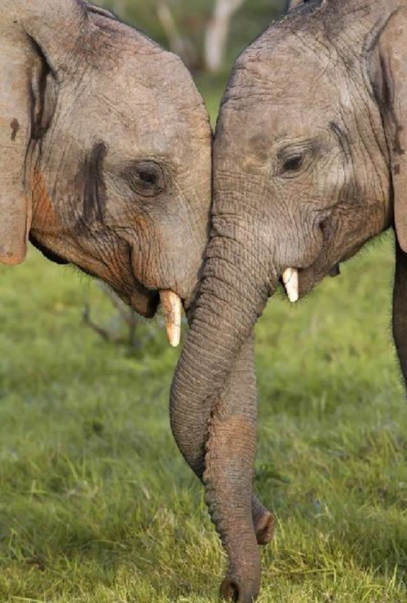 love story