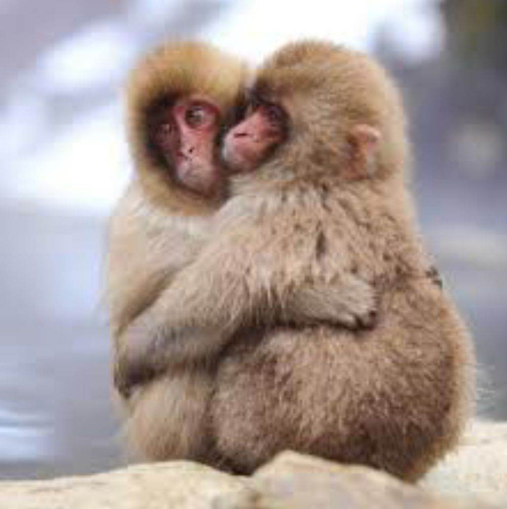 love story