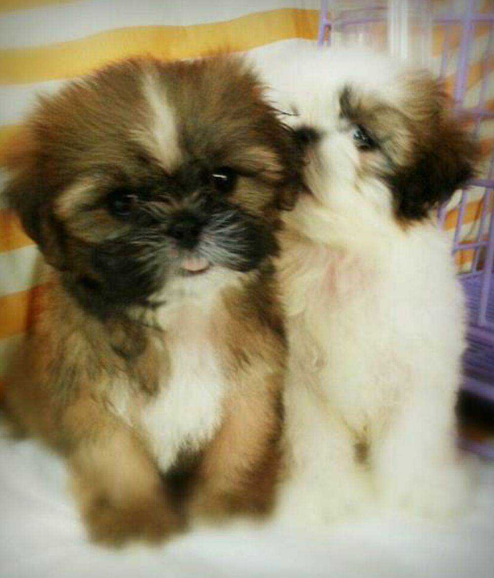 love story