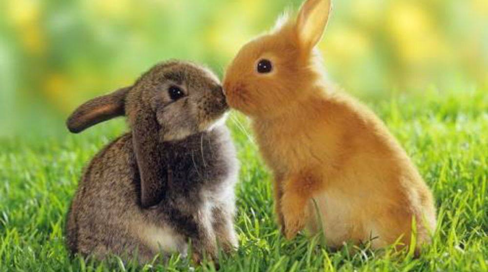love story