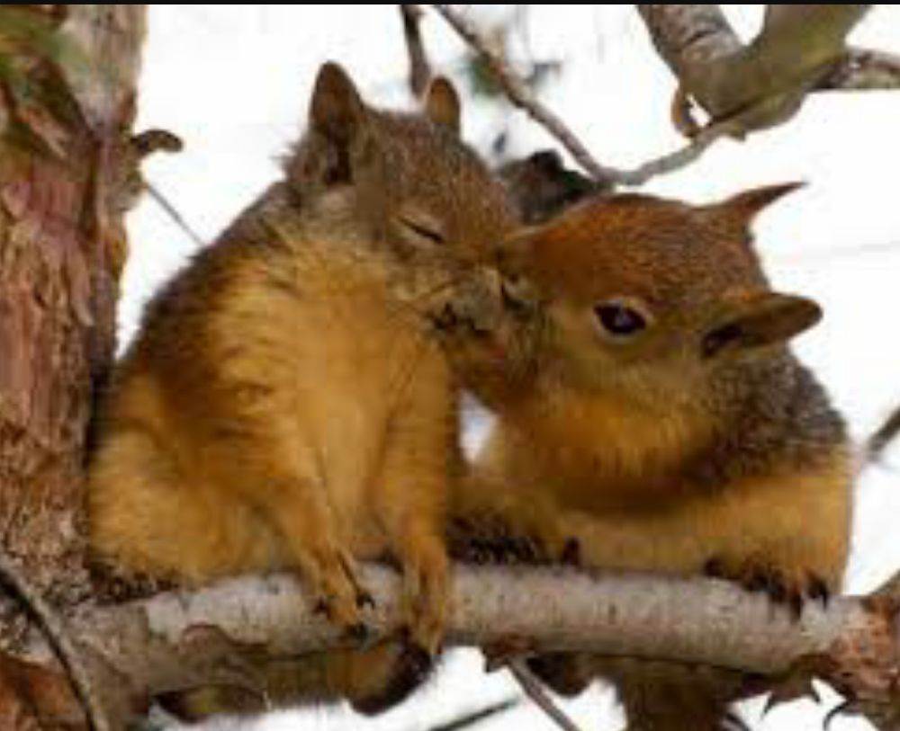 love story