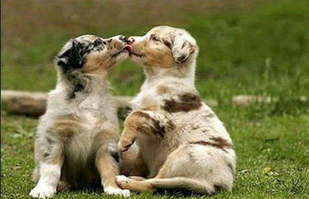 love story