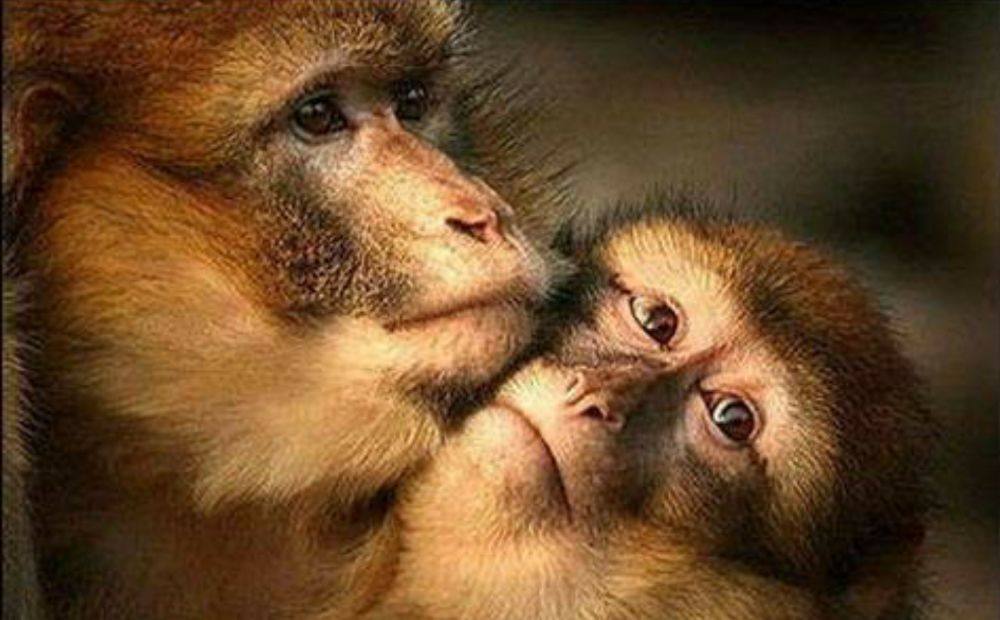 love story