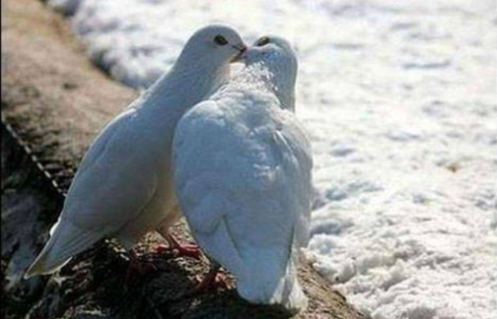 love story