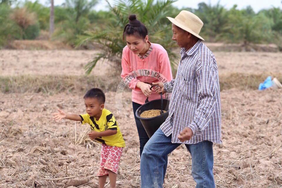 ภาพน่ารักๆ "ต่าย อรทัย" กลับบ้านนา ช่วยคุณพ่อปลูกข้าวในวันพืชมงคล