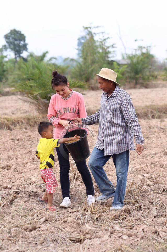 ภาพน่ารักๆ "ต่าย อรทัย" กลับบ้านนา ช่วยคุณพ่อปลูกข้าวในวันพืชมงคล