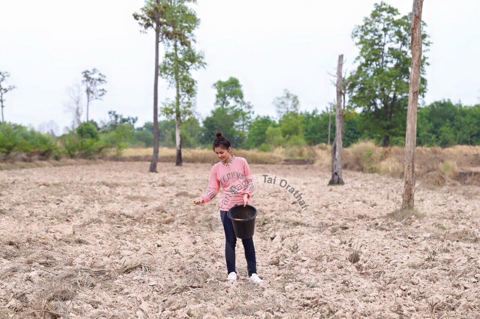 ภาพน่ารักๆ "ต่าย อรทัย" กลับบ้านนา ช่วยคุณพ่อปลูกข้าวในวันพืชมงคล