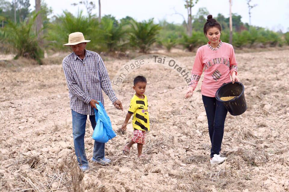 ภาพน่ารักๆ "ต่าย อรทัย" กลับบ้านนา ช่วยคุณพ่อปลูกข้าวในวันพืชมงคล