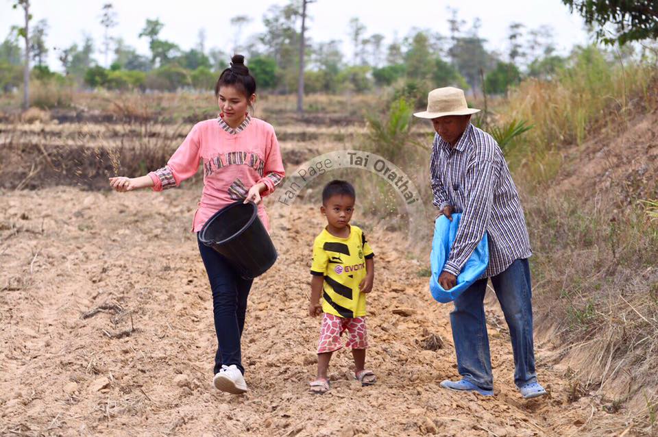 ภาพน่ารักๆ "ต่าย อรทัย" กลับบ้านนา ช่วยคุณพ่อปลูกข้าวในวันพืชมงคล