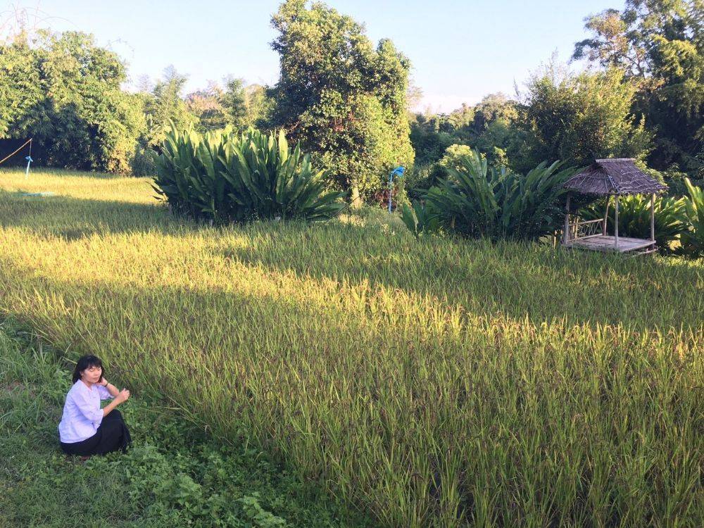 โป้งโมเดล pongmodel ทำบุญ ครบรอบ40ปี
