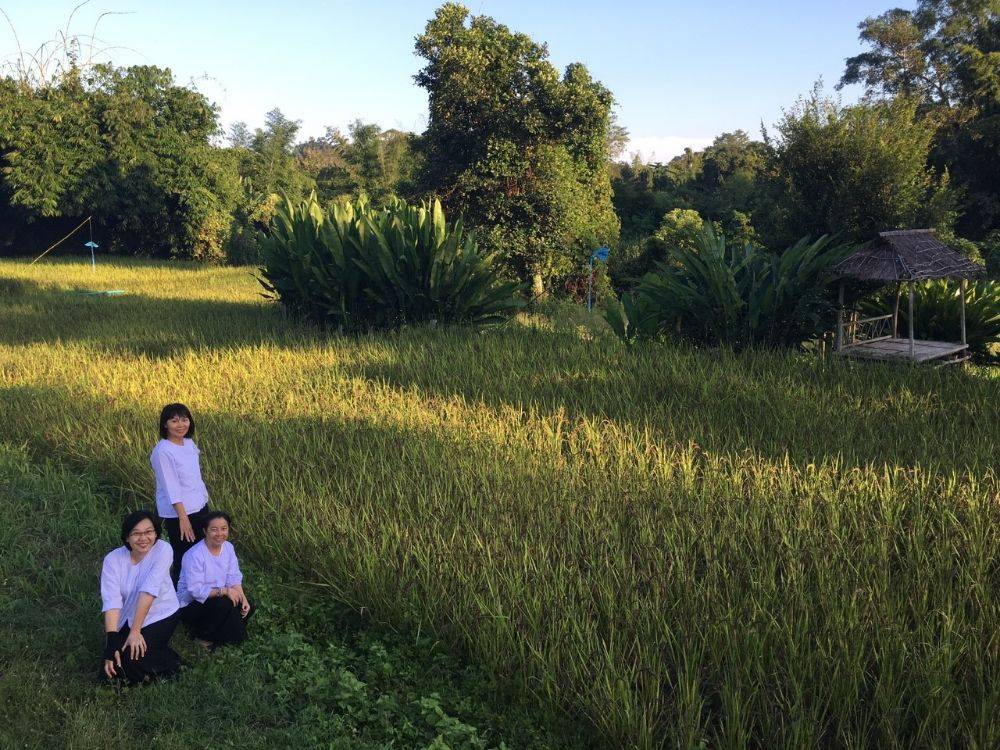 โป้งโมเดล pongmodel ทำบุญ ครบรอบ40ปี
