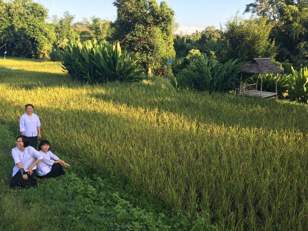 โป้งโมเดล pongmodel ทำบุญ ครบรอบ40ปี
