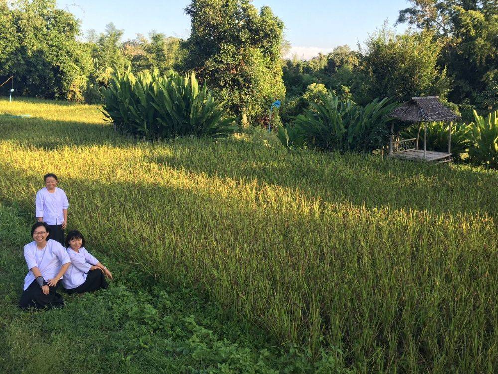 โป้งโมเดล pongmodel ทำบุญ ครบรอบ40ปี
