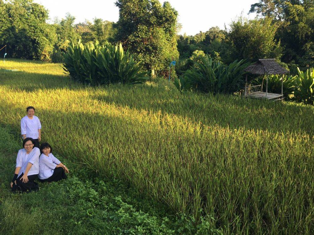 โป้งโมเดล pongmodel ทำบุญ ครบรอบ40ปี