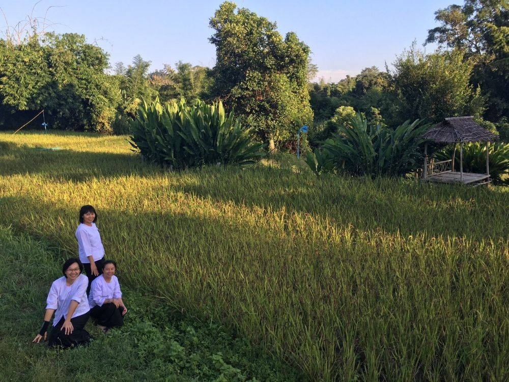โป้งโมเดล pongmodel ทำบุญ ครบรอบ40ปี