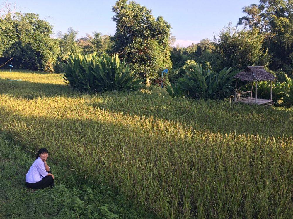 โป้งโมเดล pongmodel ทำบุญ ครบรอบ40ปี