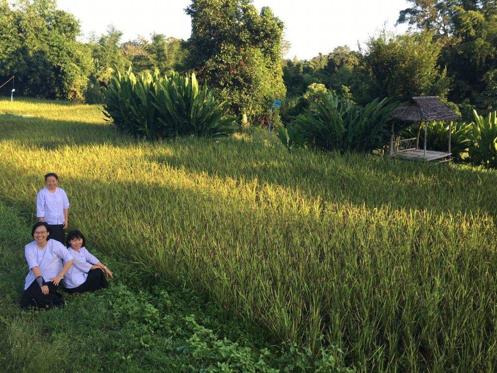 โป้งโมเดล pongmodel ทำบุญ ครบรอบ40ปี