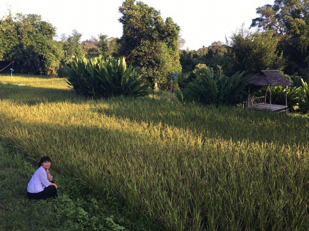 โป้งโมเดล pongmodel ทำบุญ ครบรอบ40ปี